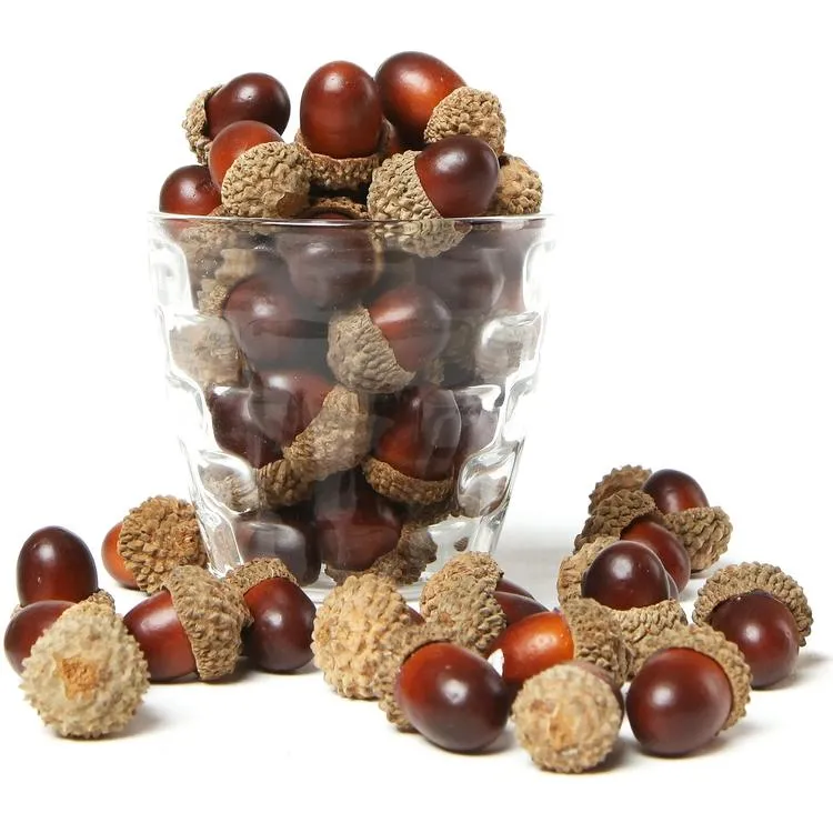 Assorted Artificial Acorn Caps, 100 pieces